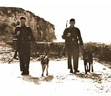 Dog Green / Dog White